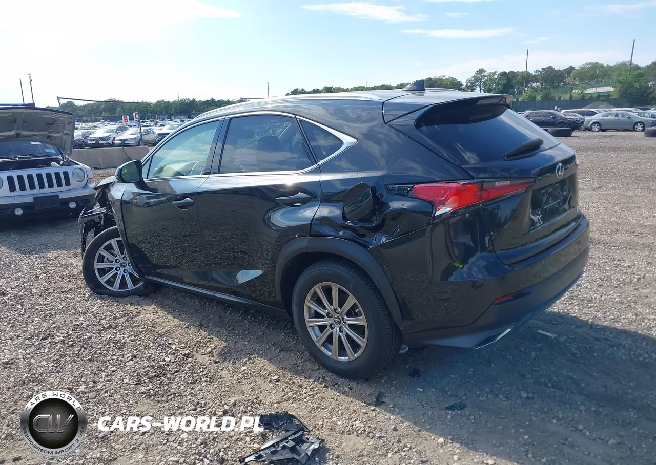 2021 Lexus Nx 300 VIN:JTJDARDZ7M2246045 - 3