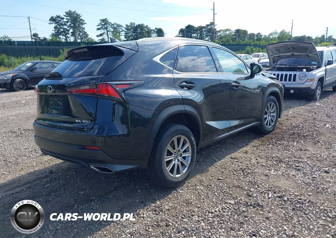 2021 Lexus Nx 300 VIN:JTJDARDZ7M2246045 - 4