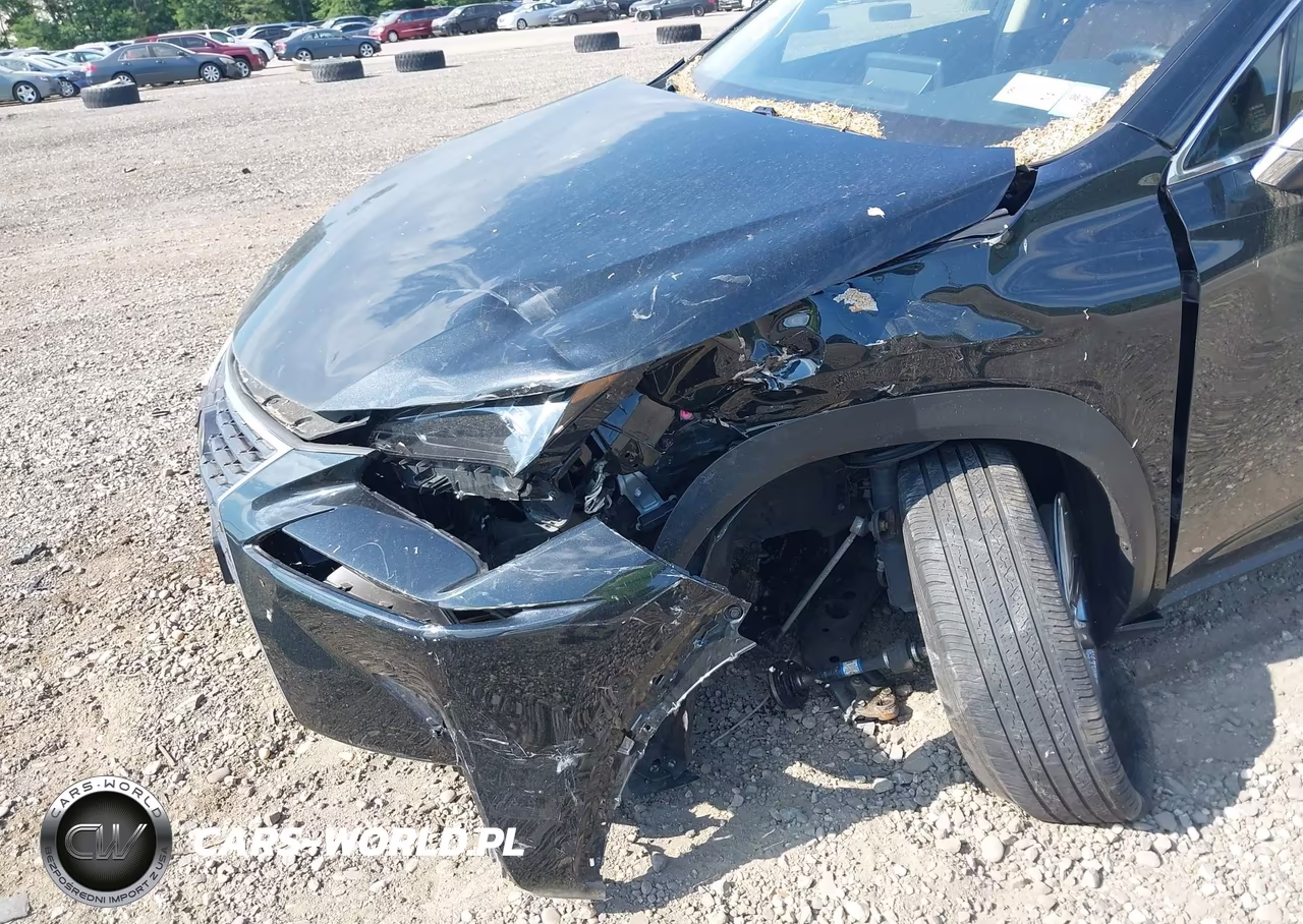 2021 Lexus Nx 300 VIN:JTJDARDZ7M2246045 - 6