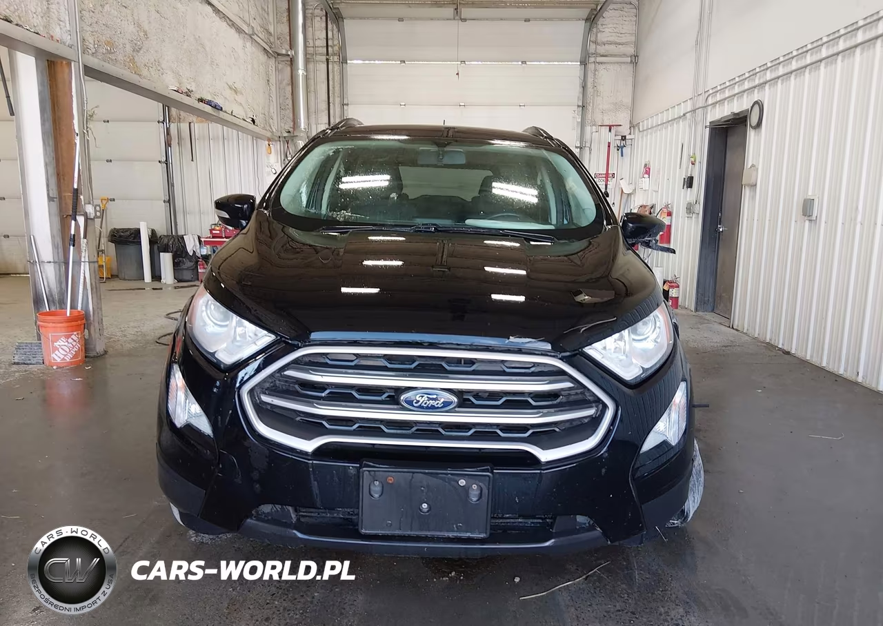 2019 Ford Ecosport Se VIN:MAJ6S3GL9KC279980 - 12