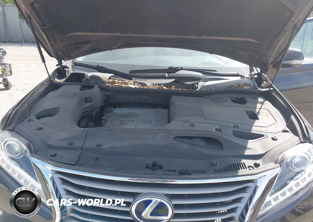 2013 Lexus Rx 450H VIN:JTJBC1BA9D2057817 - 10