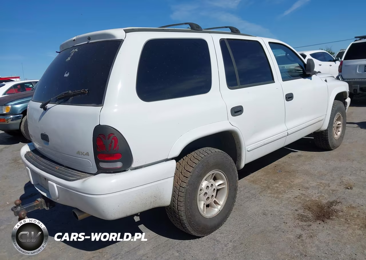 1999 Dodge Durango VIN:1B4HS28Z3XF643765 - 4