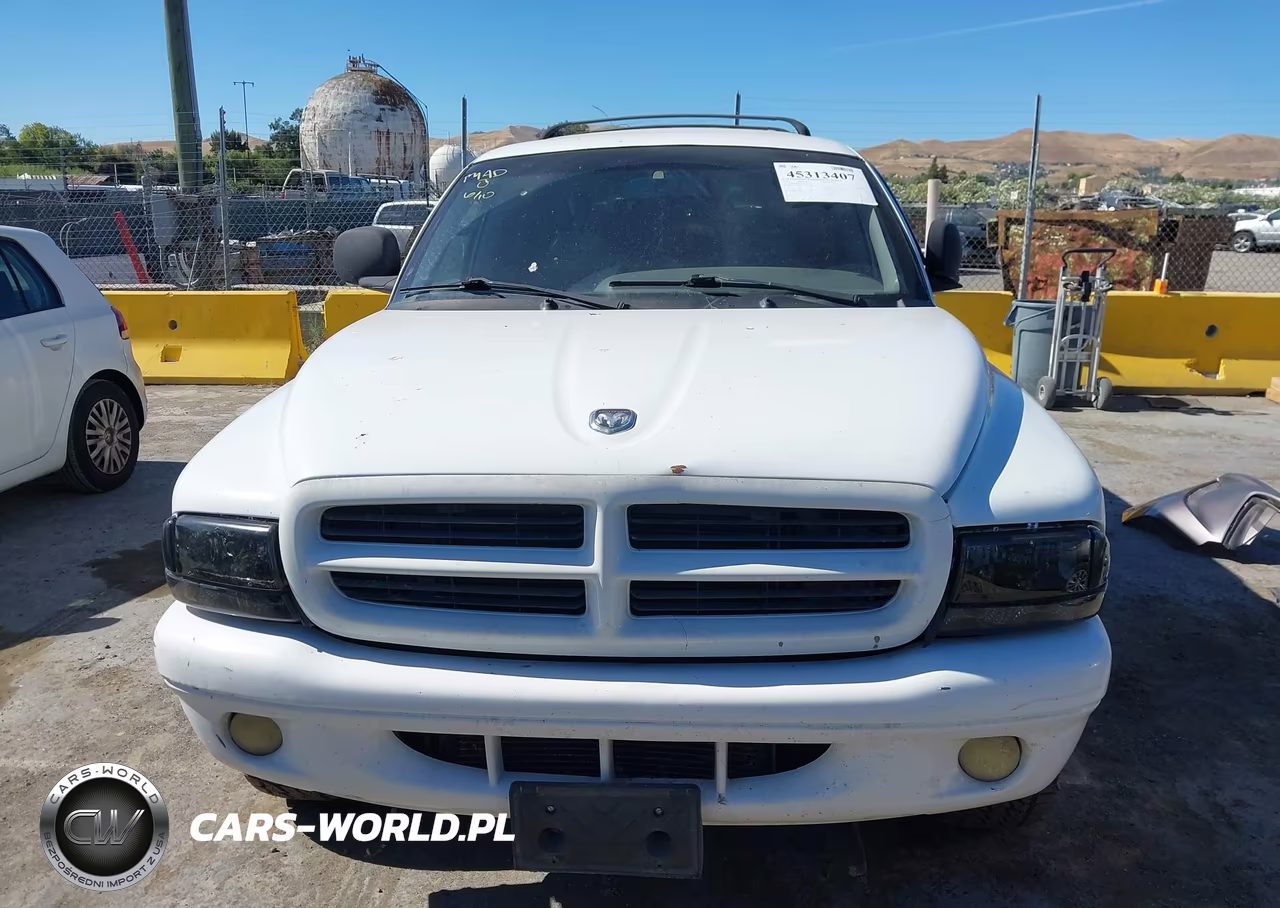 1999 Dodge Durango VIN:1B4HS28Z3XF643765 - 6