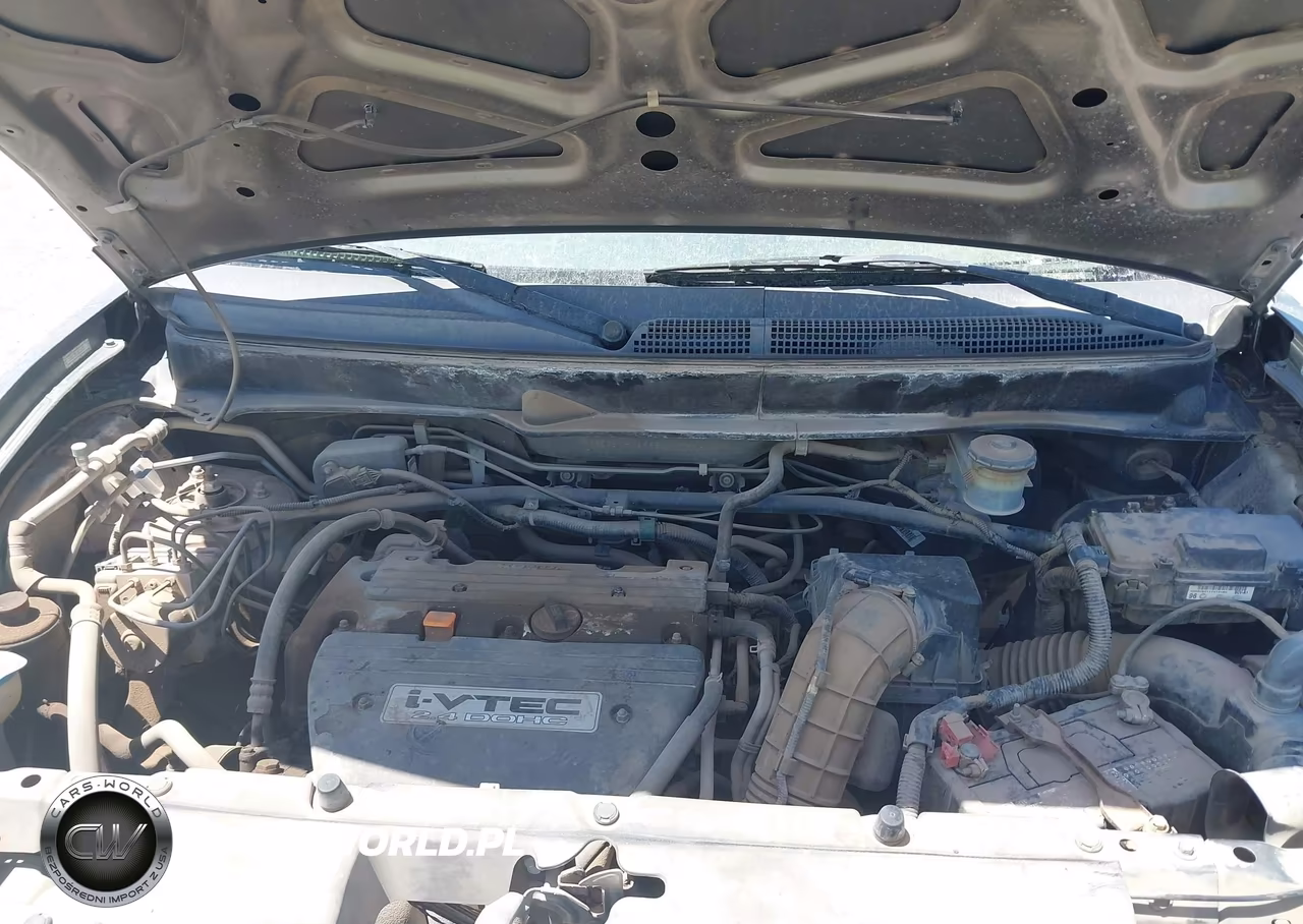 2008 Honda Element Sc VIN:5J6YH18998L010955 - 10