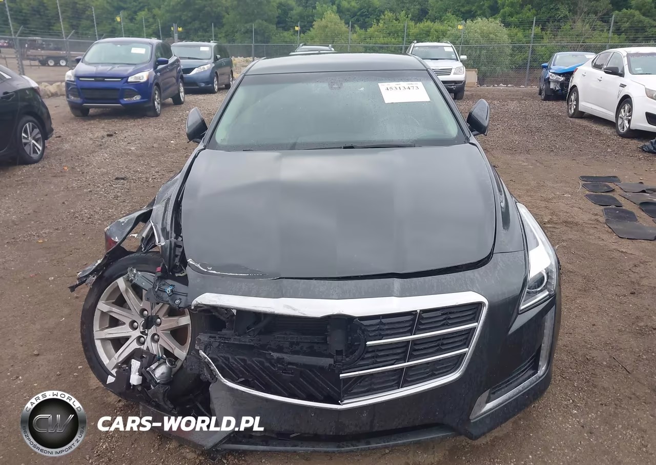 2014 Cadillac Cts Standard VIN:1G6AW5SX9E0128497 - 12