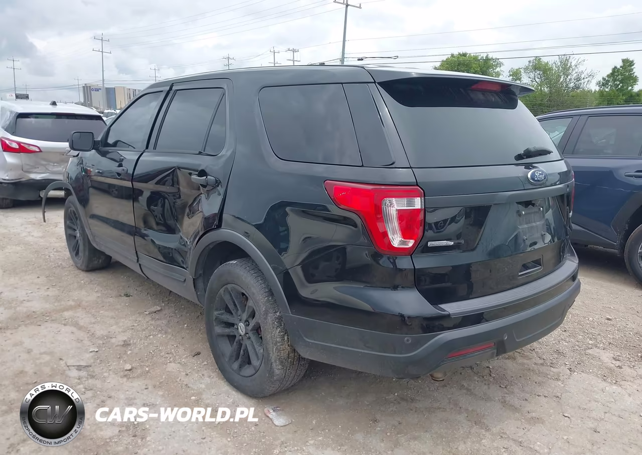 2019 Ford Police Interceptor Utility VIN:1FM5K8AT9KGB24121 - 3