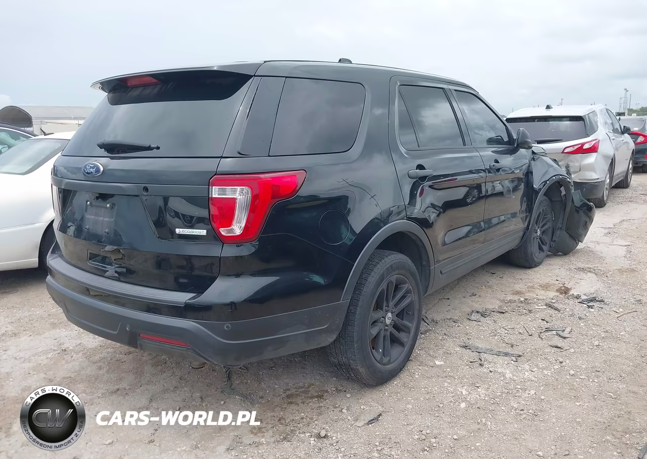 2019 Ford Police Interceptor Utility VIN:1FM5K8AT9KGB24121 - 4