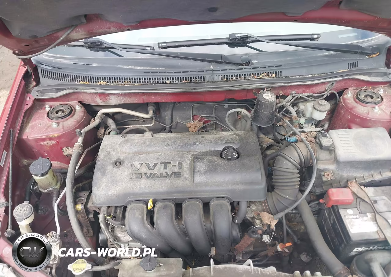 2003 Toyota Corolla Ce VIN:1NXBR32E53Z091736 - 10