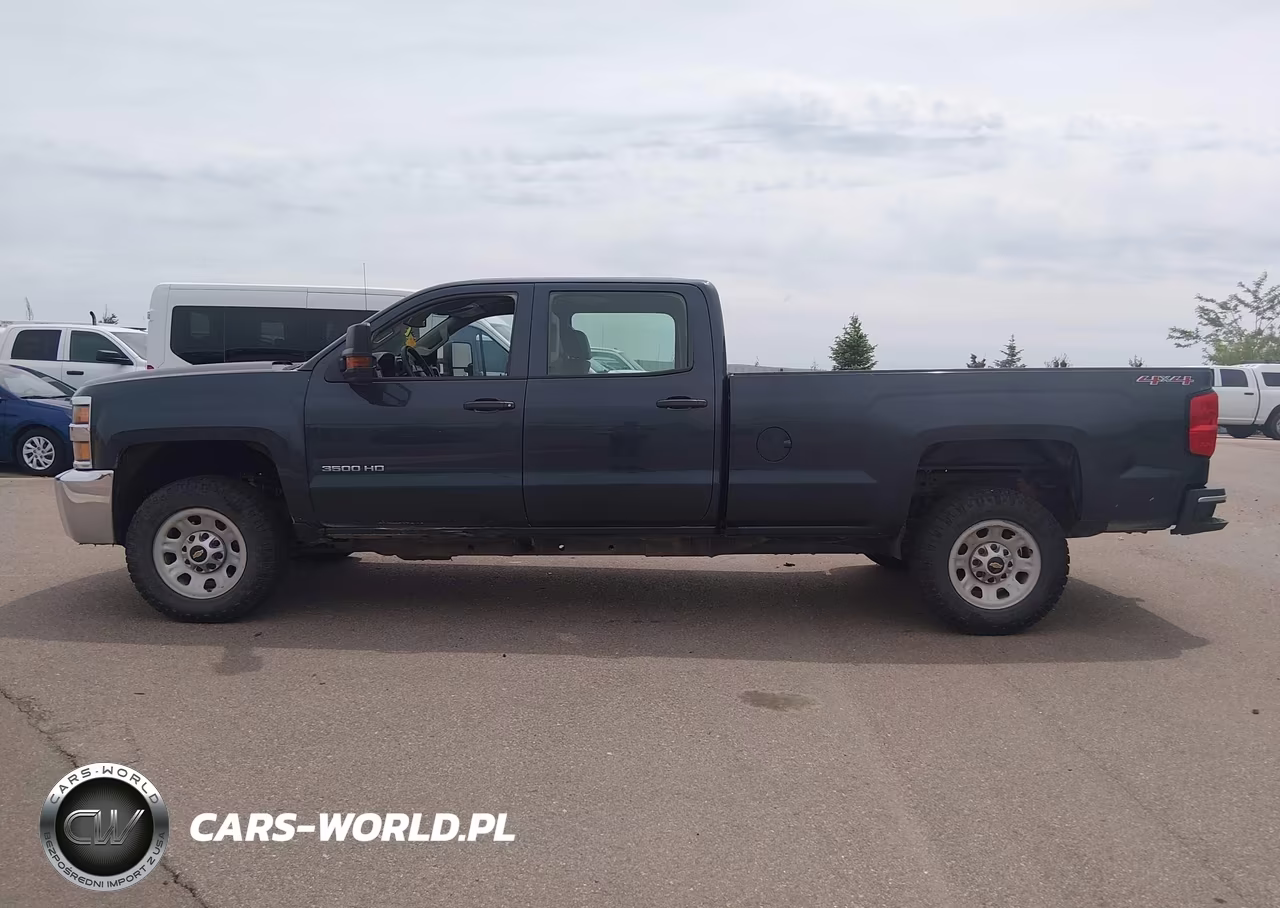 2017 Chevrolet Silverado 3500Hd Wt VIN:1GC4KYCG2HF197054 - 20