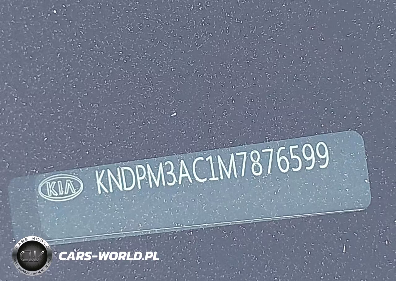2021 Kia Sportage Lx VIN:KNDPM3AC1M7876599 - 18