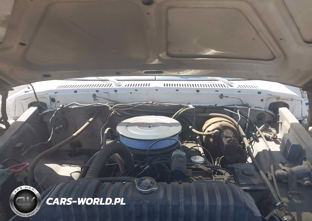 1975 Ford F-250 VIN:F25JKX61829 - 10
