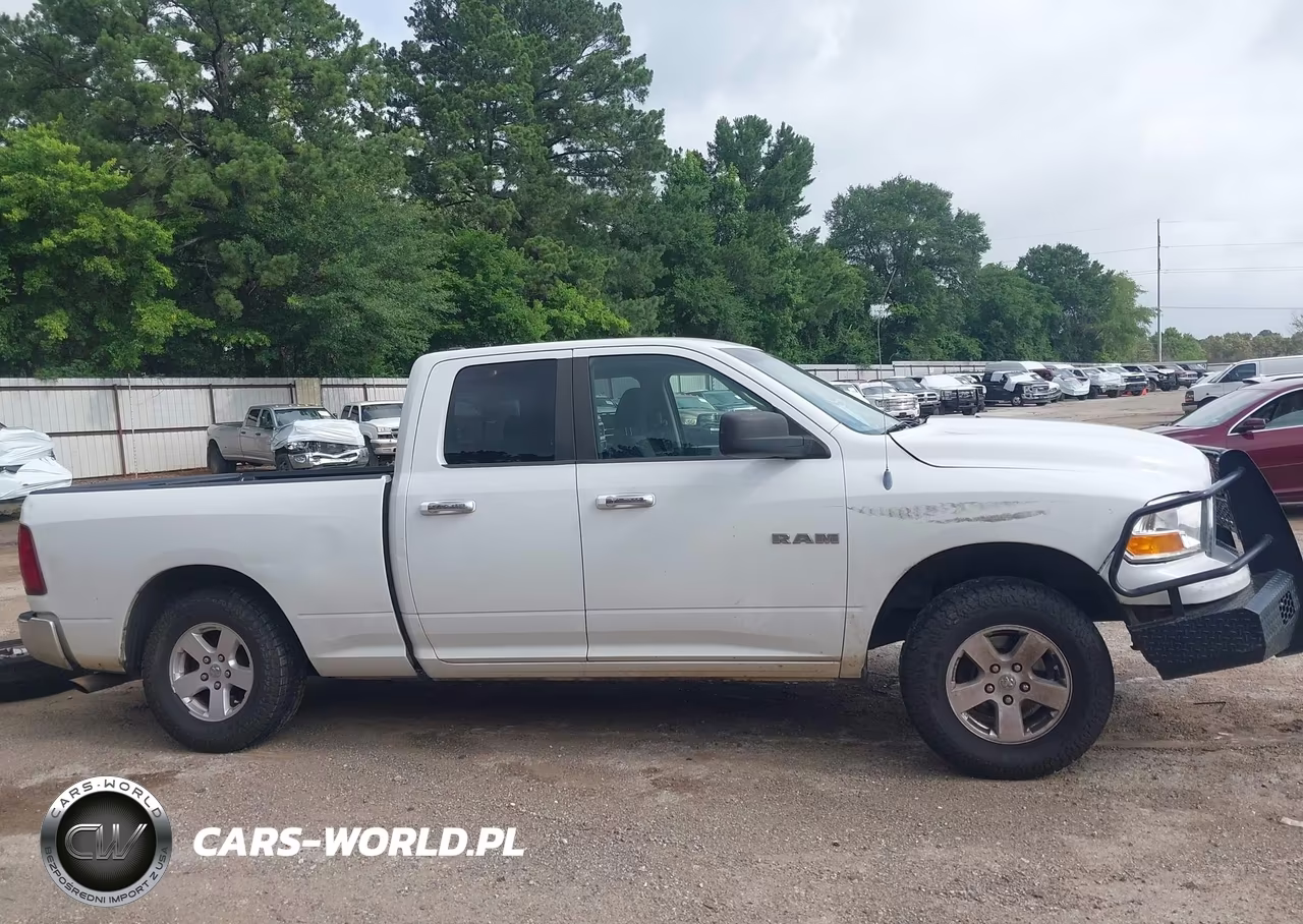 2010 Dodge Ram 1500 Slt-Sport-Trx VIN:1D7RB1GP6AS217655 - 14
