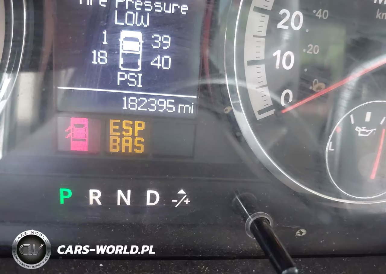 2010 Dodge Ram 1500 Slt-Sport-Trx VIN:1D7RB1GP6AS217655 - 16