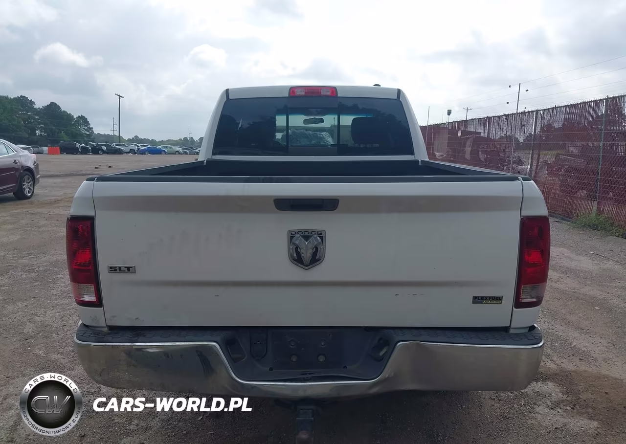 2010 Dodge Ram 1500 Slt-Sport-Trx VIN:1D7RB1GP6AS217655 - 17