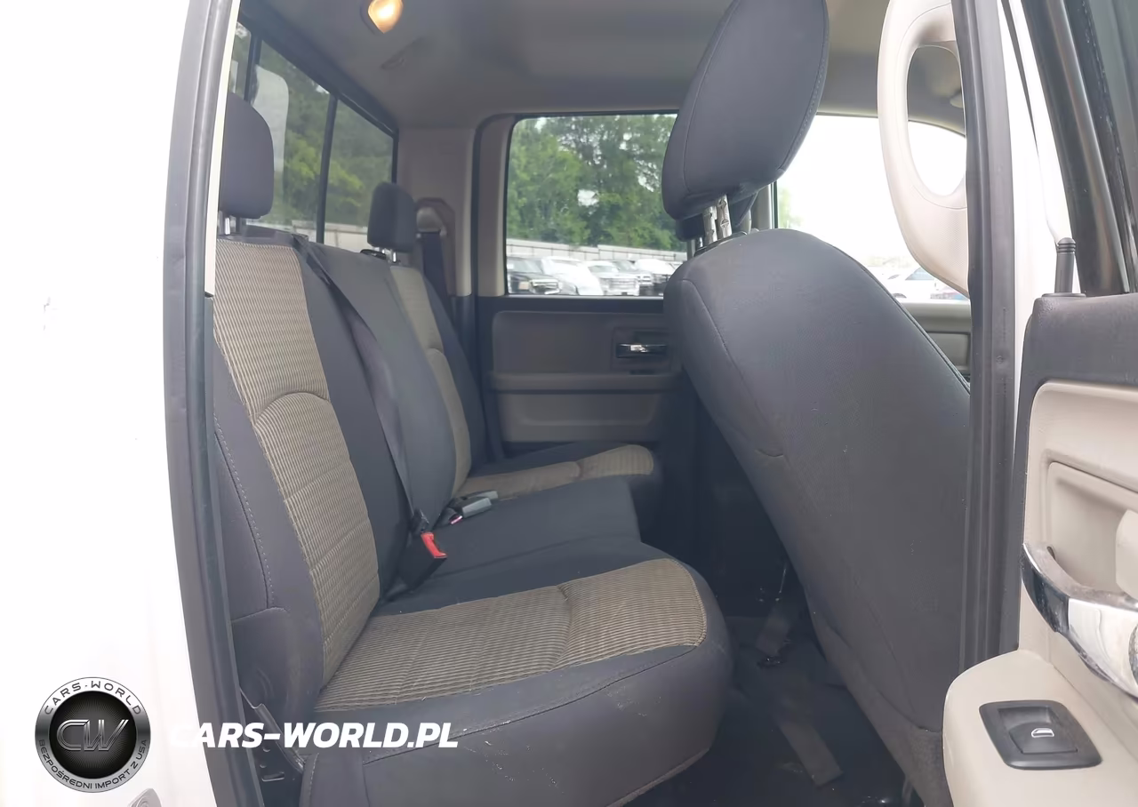 2010 Dodge Ram 1500 Slt-Sport-Trx VIN:1D7RB1GP6AS217655 - 8