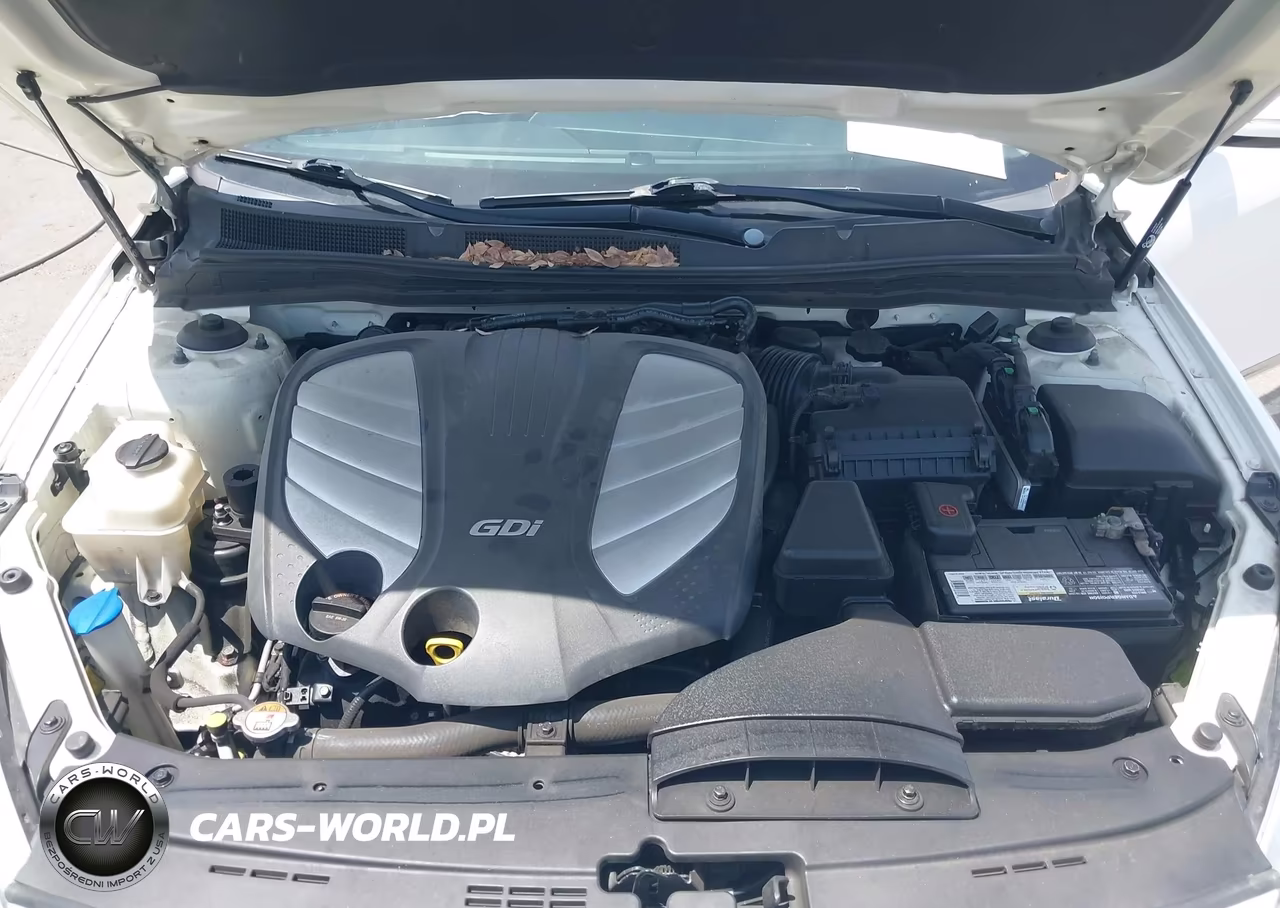 2014 Kia Cadenza Premium VIN:KNALN4D76E5127081 - 10