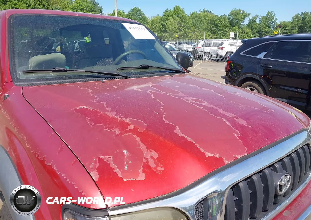2001 Toyota Tacoma Base V6 VIN:5TEWN72NX1Z817457 - 6