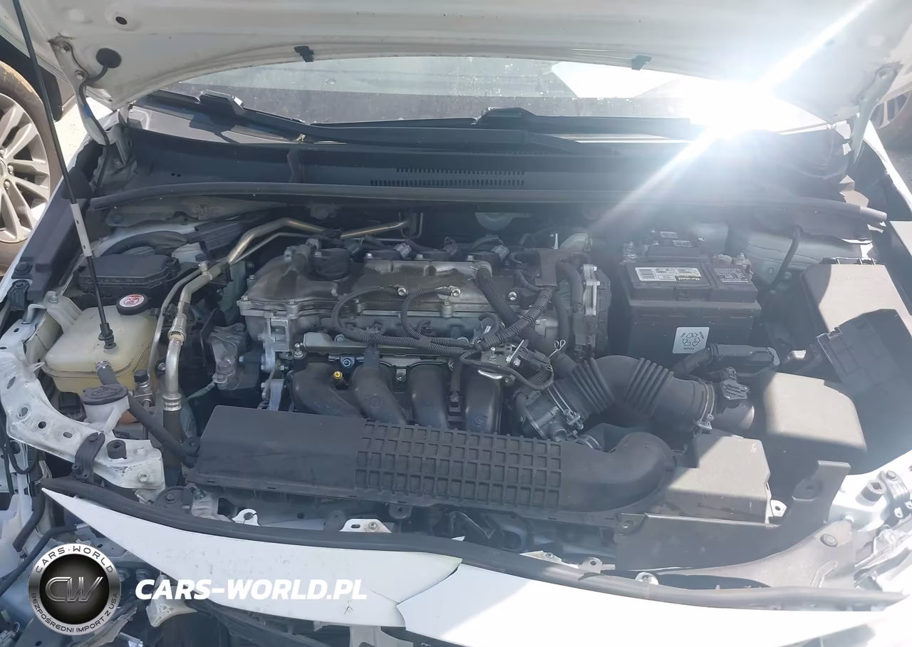 2020 Toyota Corolla Le VIN:JTDEPRAE4LJ011615 - 10