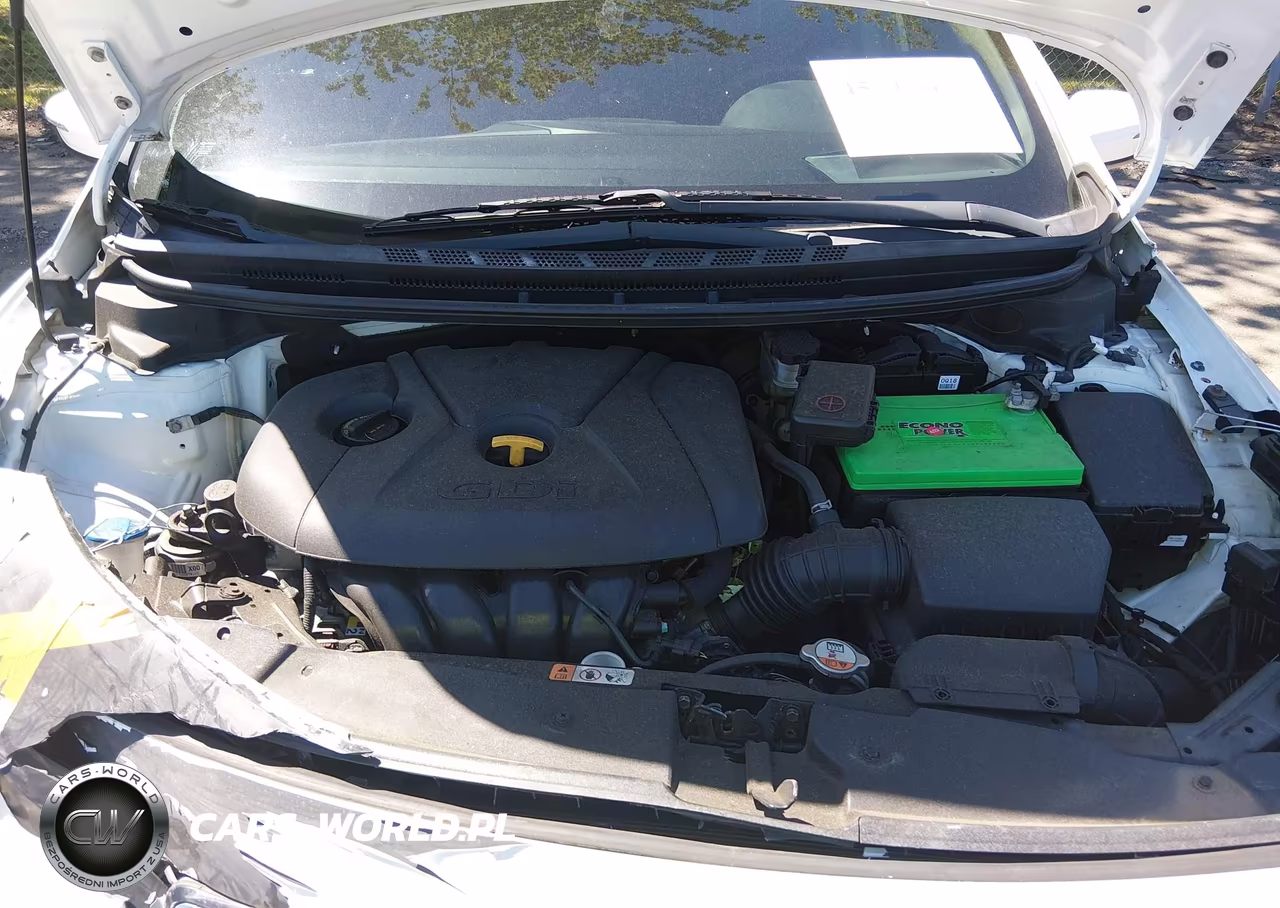 2017 Kia Forte Lx VIN:KNAFK5A86H5725541 - 10