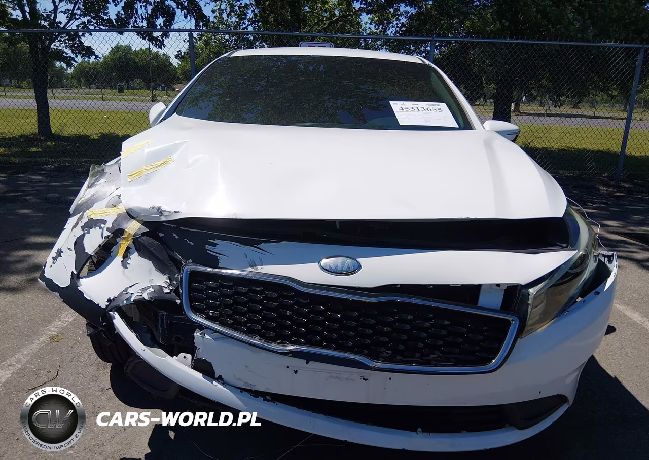 2017 Kia Forte Lx VIN:KNAFK5A86H5725541 - 12