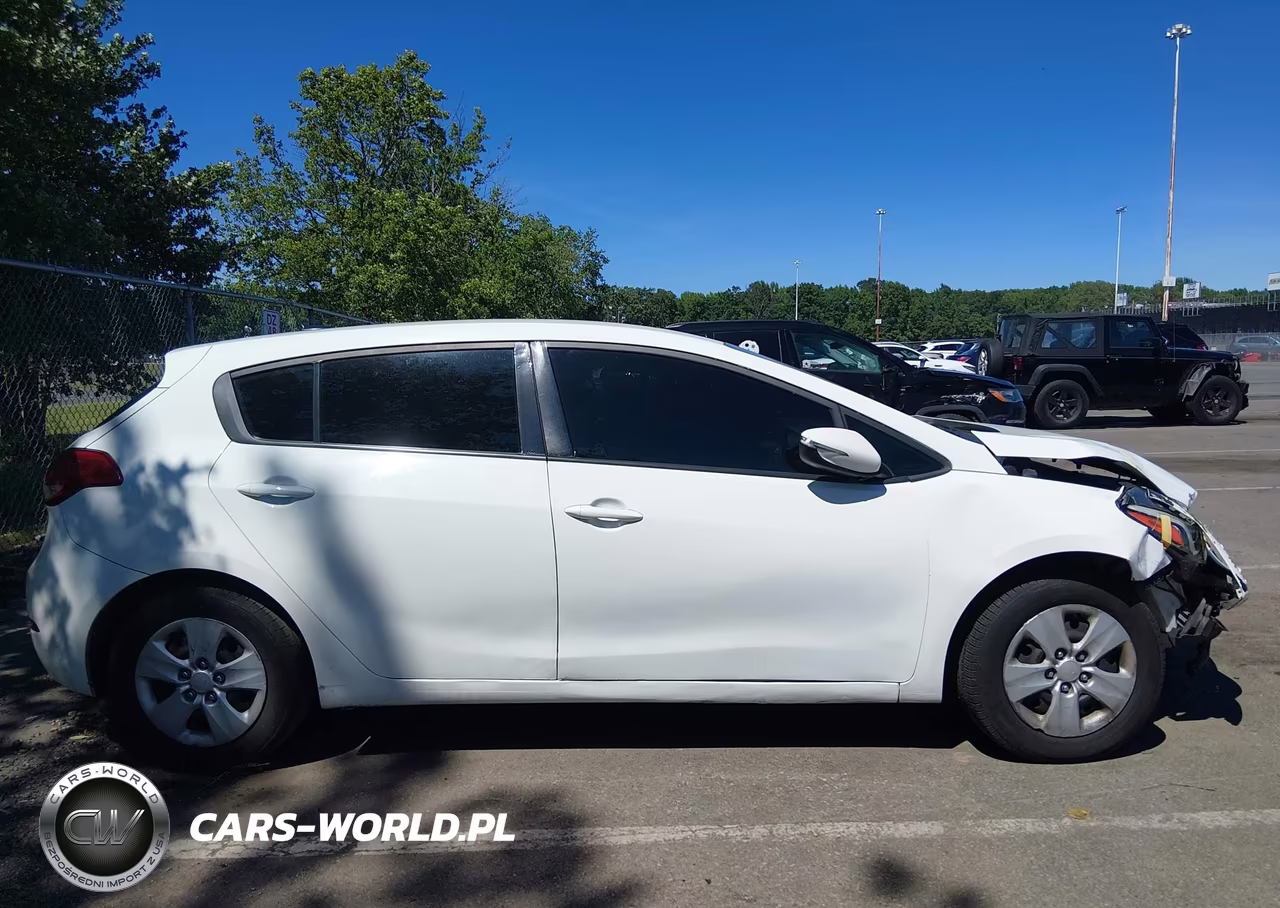 2017 Kia Forte Lx VIN:KNAFK5A86H5725541 - 13