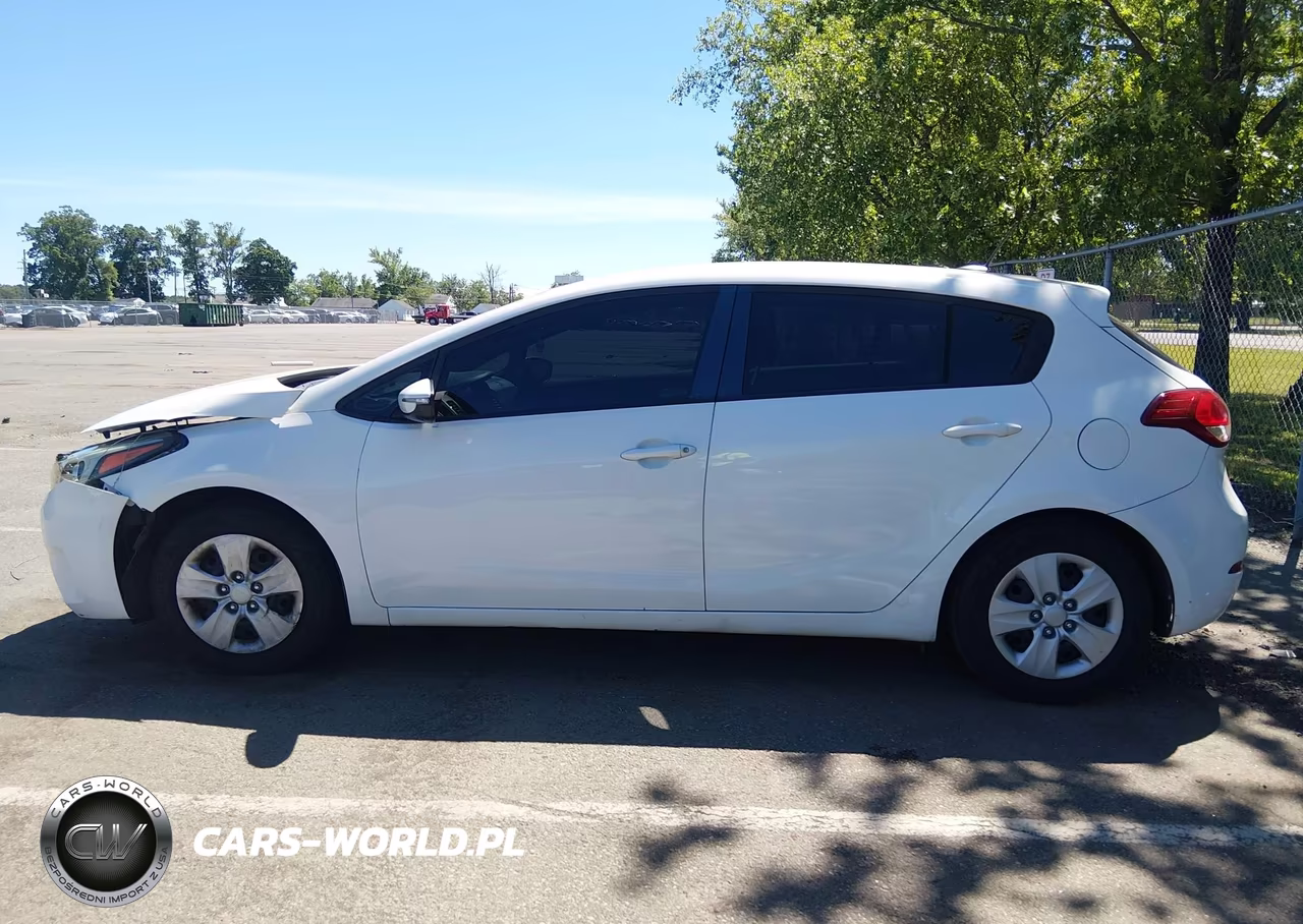 2017 Kia Forte Lx VIN:KNAFK5A86H5725541 - 14