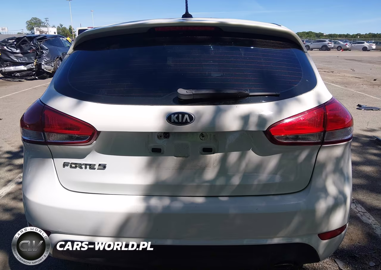 2017 Kia Forte Lx VIN:KNAFK5A86H5725541 - 16