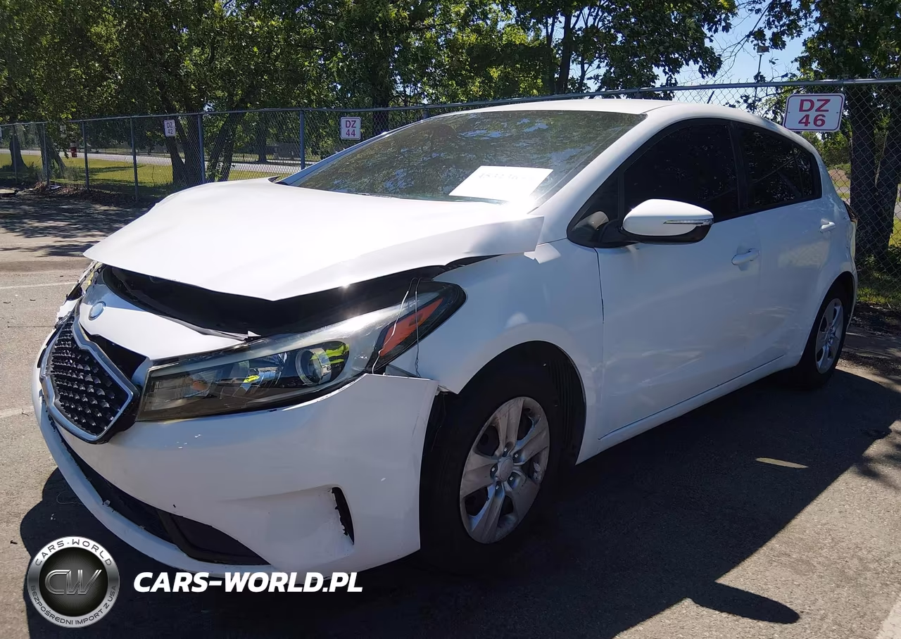 2017 Kia Forte Lx VIN:KNAFK5A86H5725541 - 2