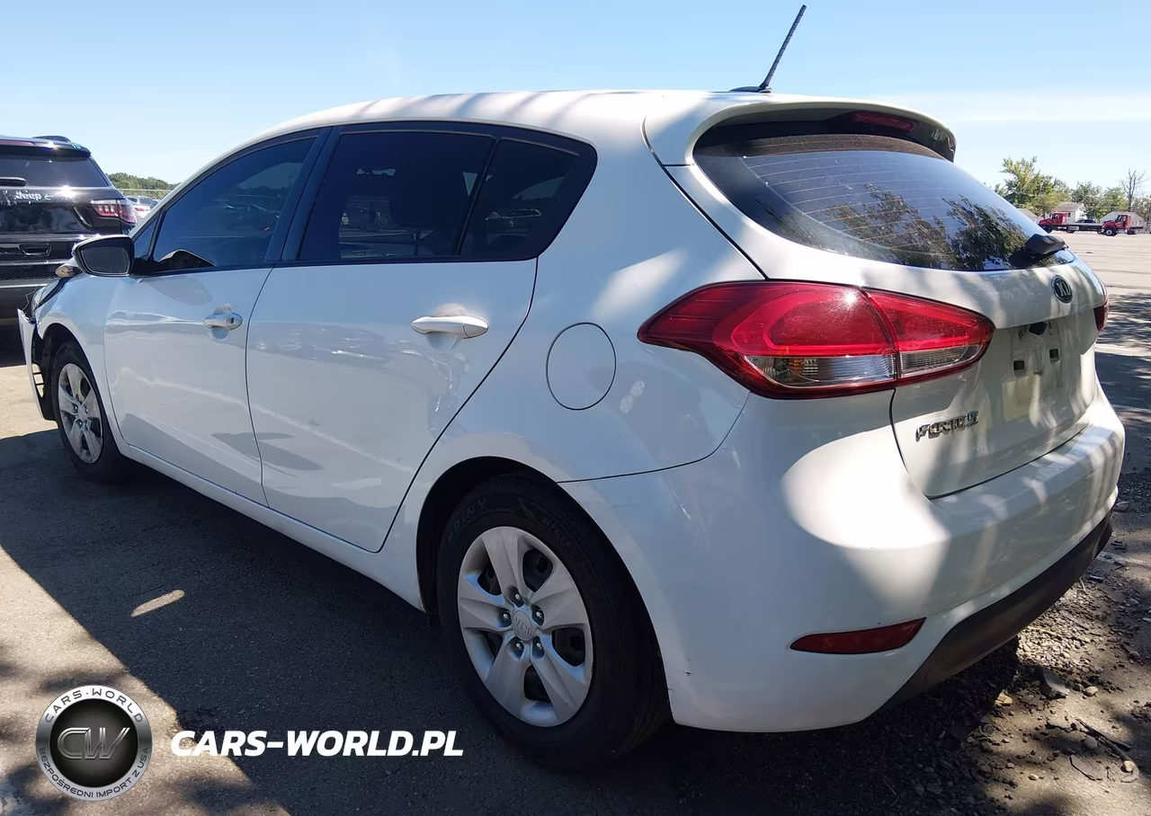 2017 Kia Forte Lx VIN:KNAFK5A86H5725541 - 3