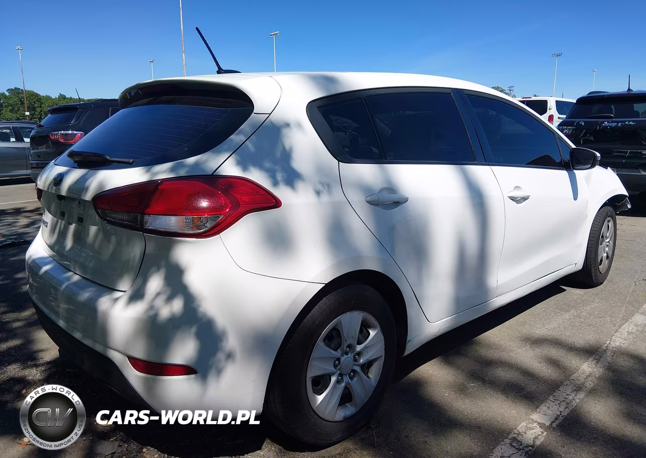 2017 Kia Forte Lx VIN:KNAFK5A86H5725541 - 4