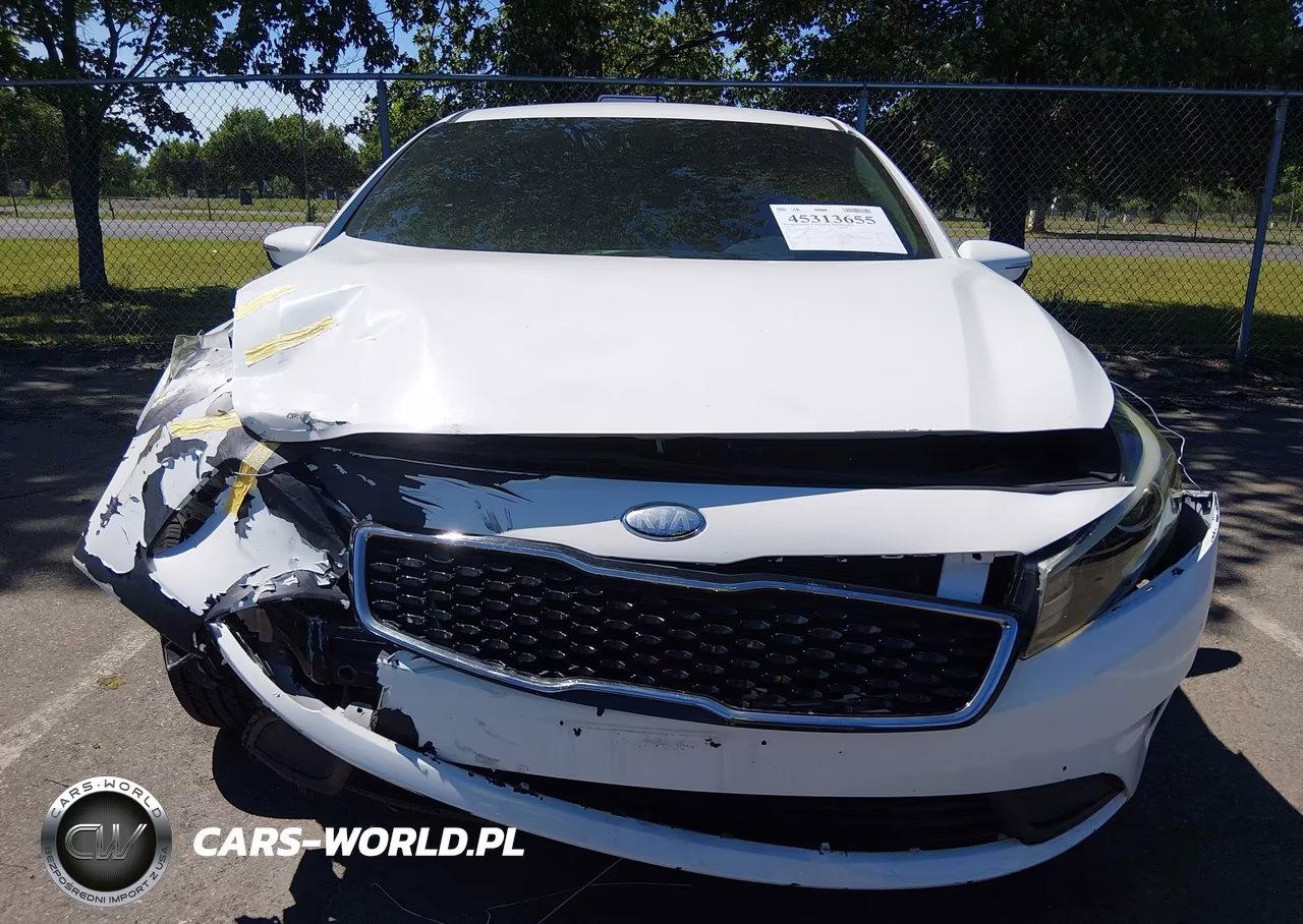 2017 Kia Forte Lx VIN:KNAFK5A86H5725541 - 6