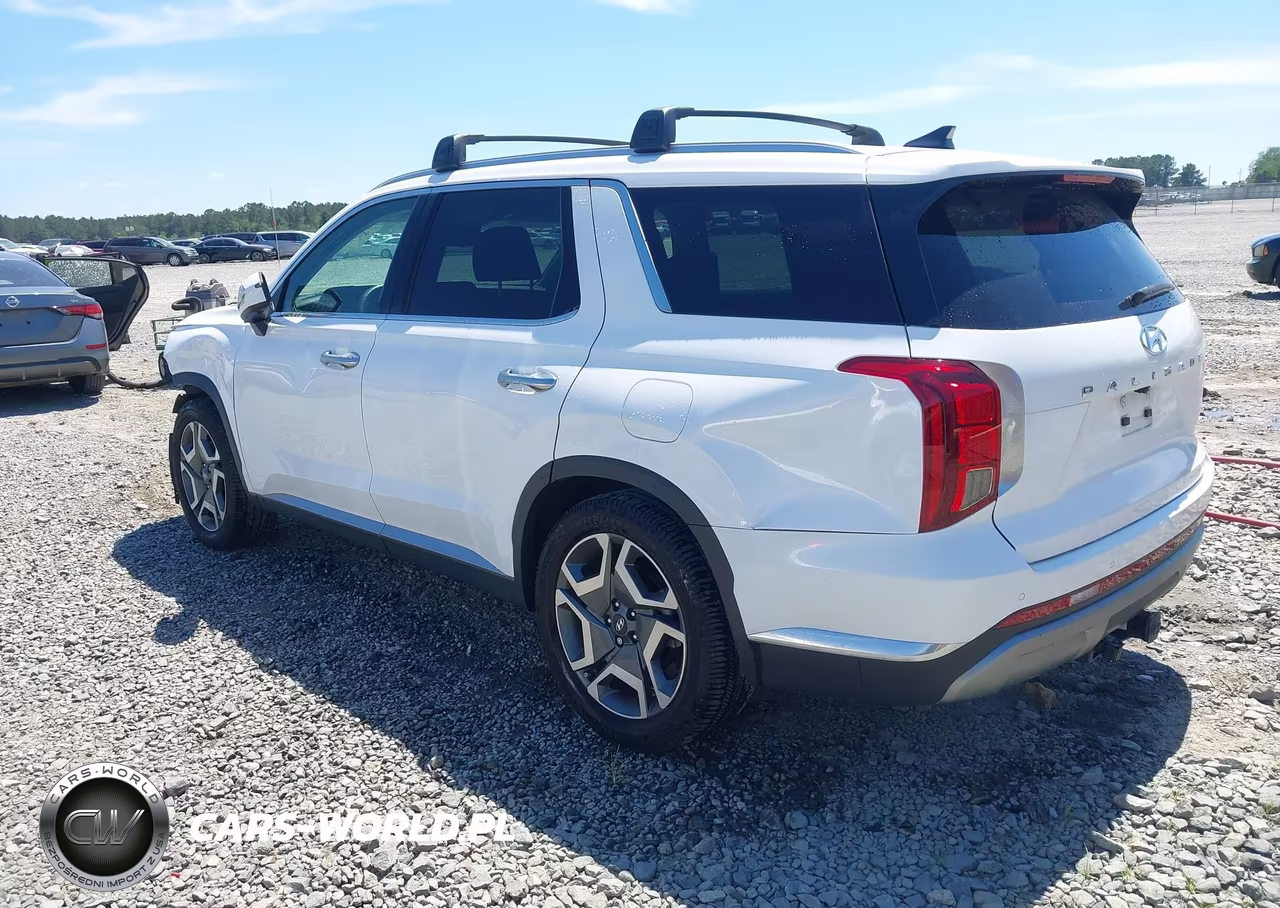 2024 Hyundai Palisade Limited VIN:KM8R54GE1RU751529 - 3