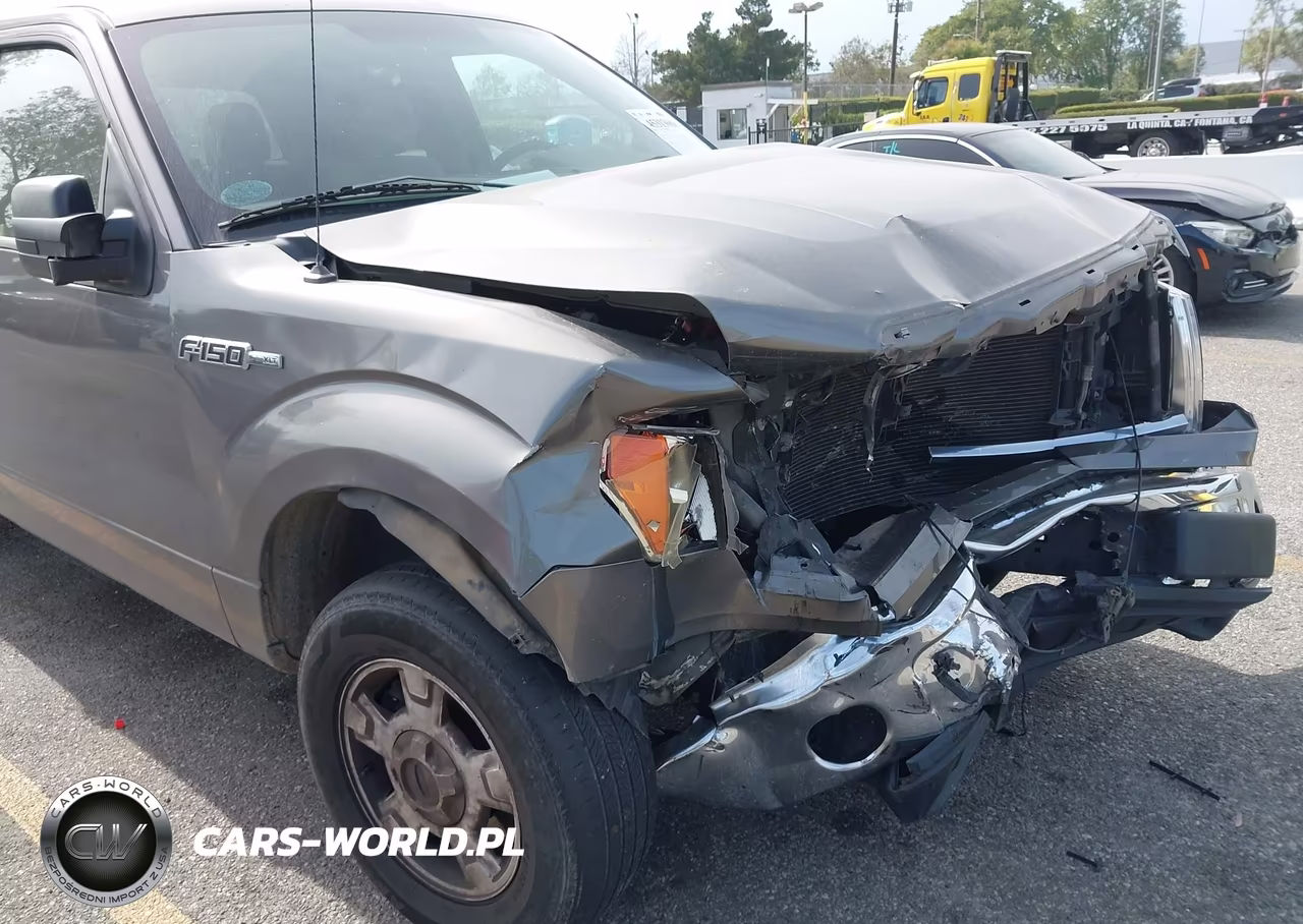 2013 Ford F-150 Xlt VIN:1FTEW1CMXDFB91793 - 12