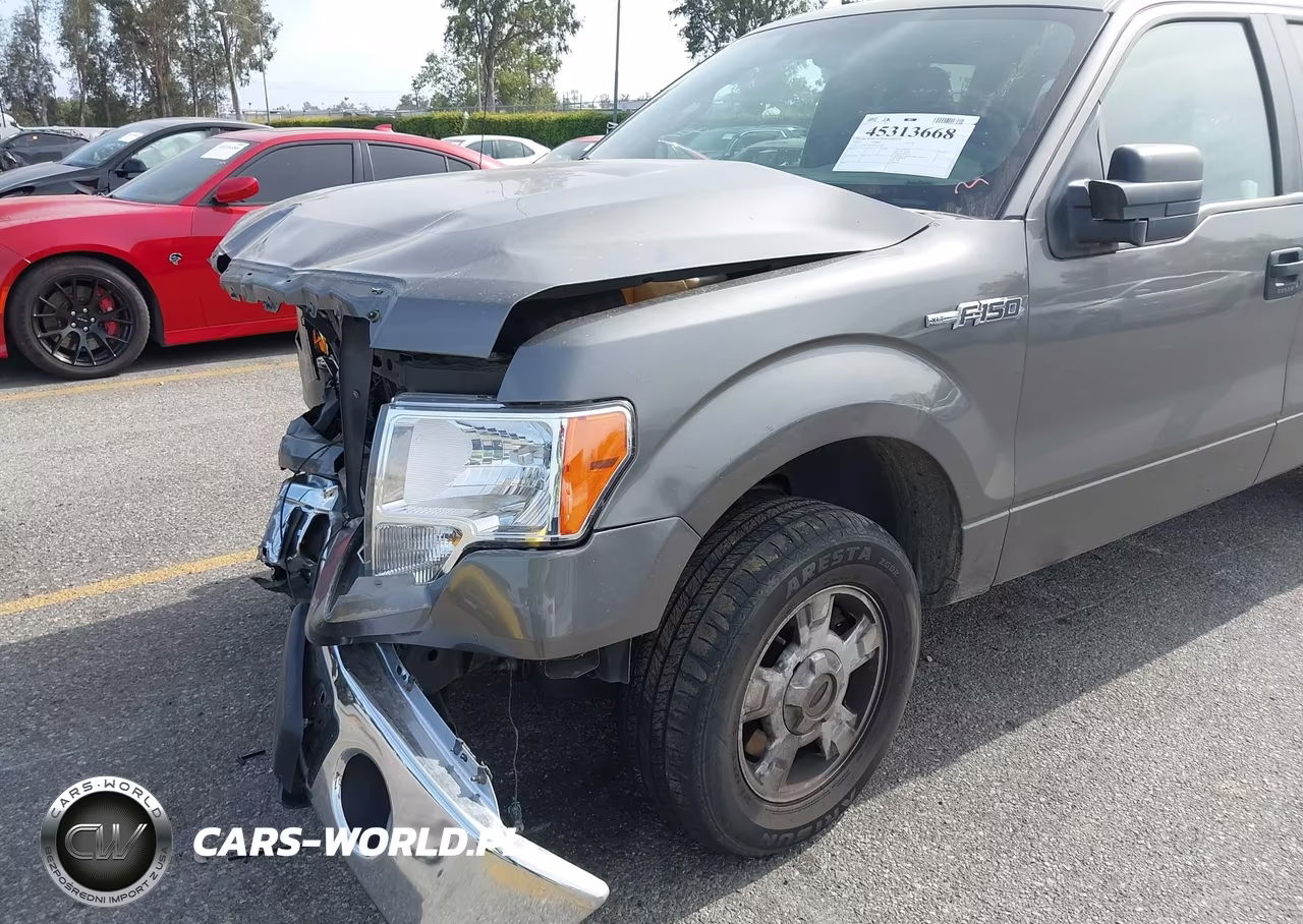 2013 Ford F-150 Xlt VIN:1FTEW1CMXDFB91793 - 13