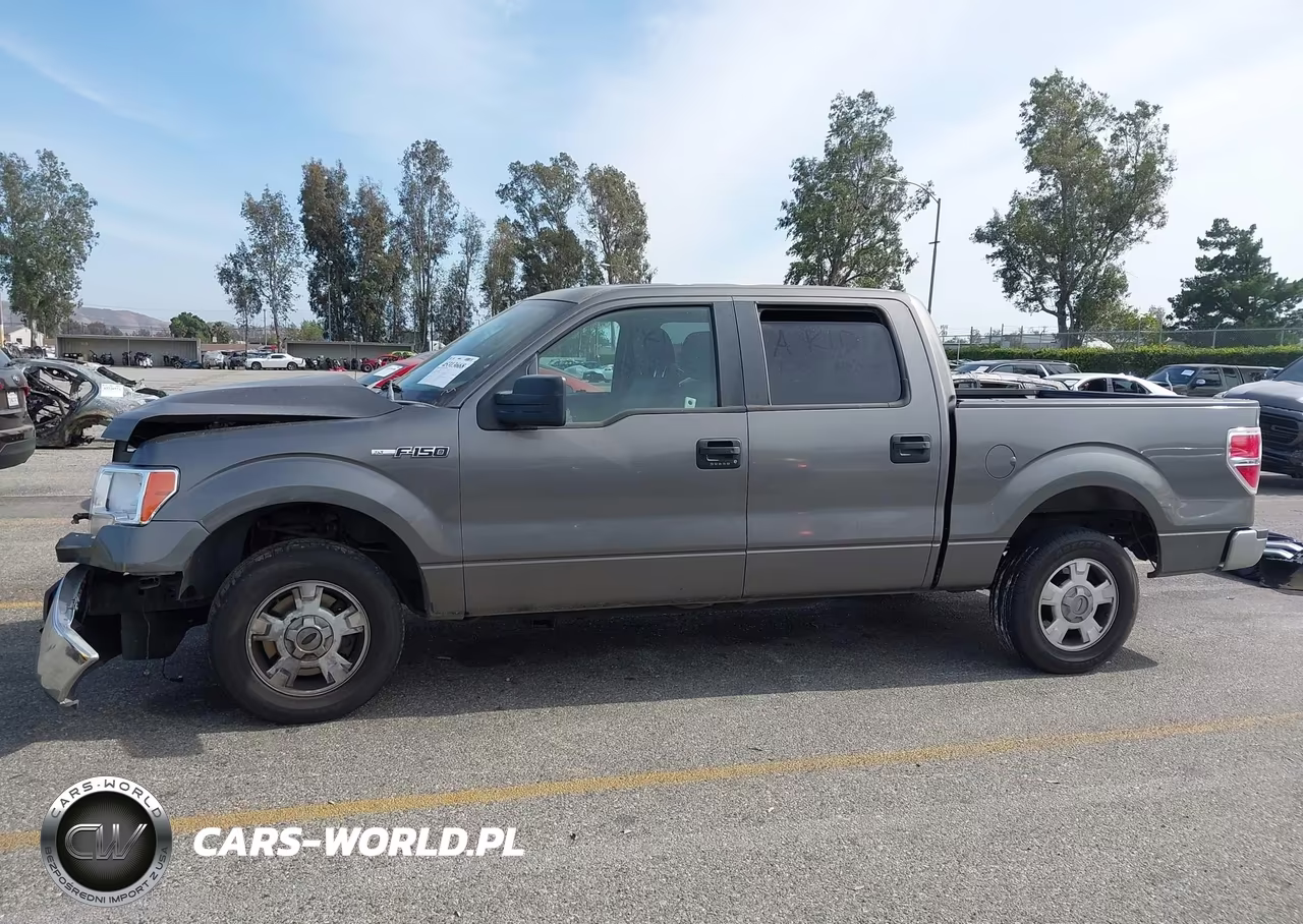 2013 Ford F-150 Xlt VIN:1FTEW1CMXDFB91793 - 16
