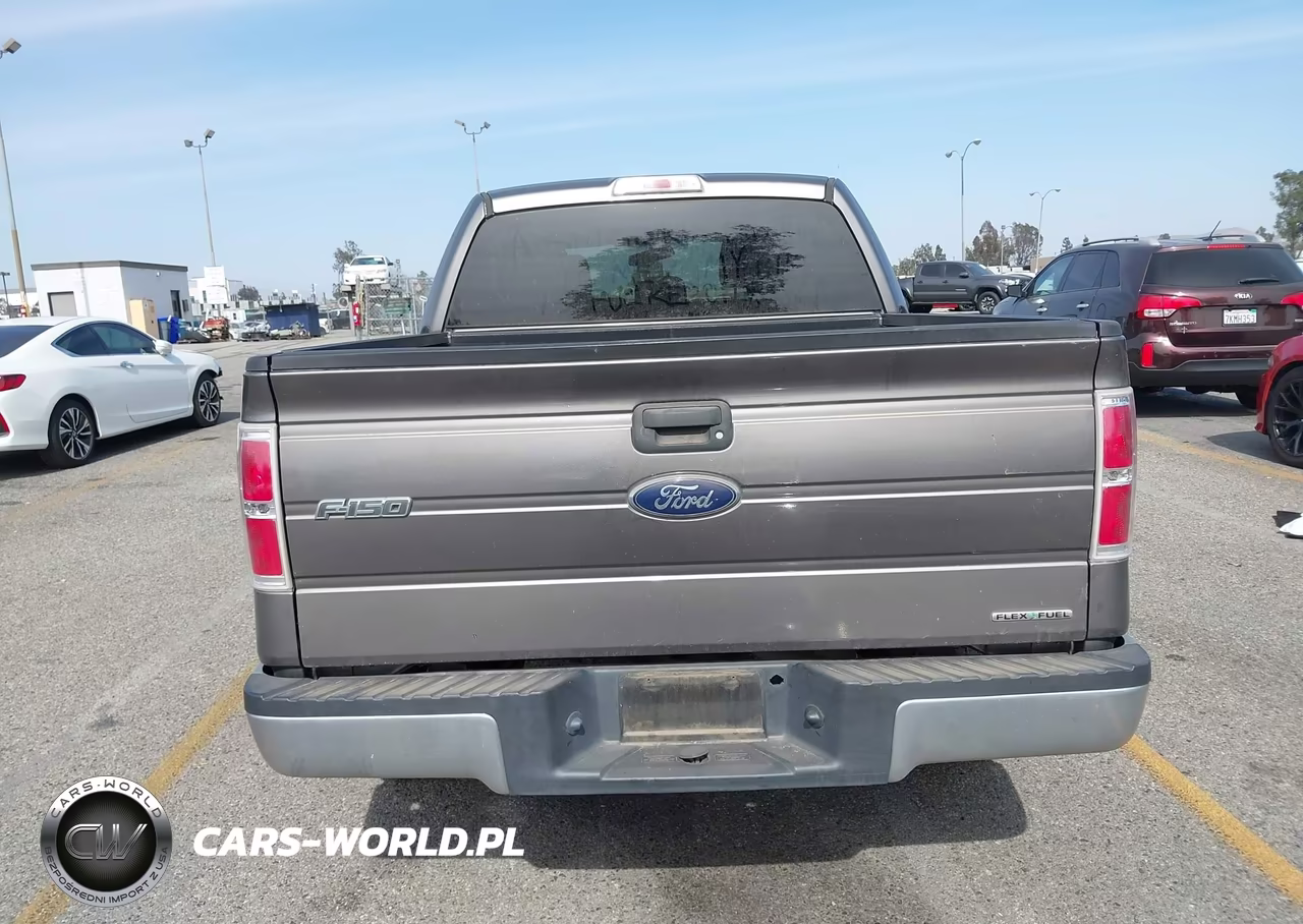 2013 Ford F-150 Xlt VIN:1FTEW1CMXDFB91793 - 18