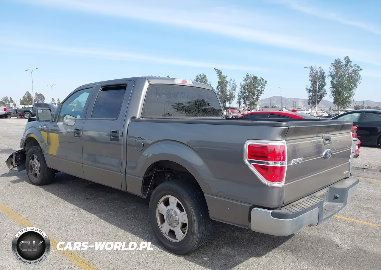 2013 Ford F-150 Xlt VIN:1FTEW1CMXDFB91793 - 3