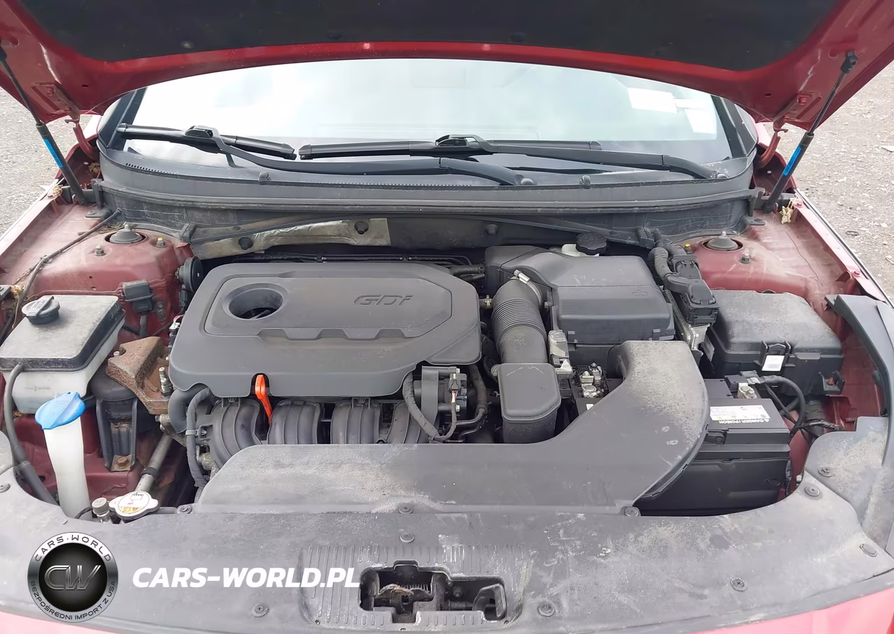2015 Hyundai Sonata Se VIN:5NPE24AF0FH231146 - 10