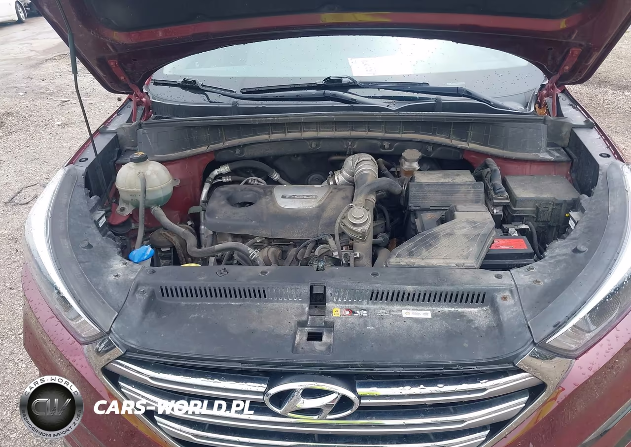 2017 Hyundai Tucson Limited VIN:KM8J3CA25HU279233 - 10