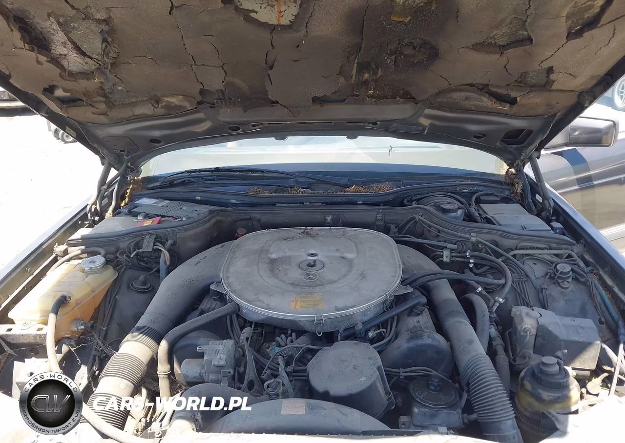 1990 Mercedes-Benz 560 Sel VIN:WDBCA39E2LA501303 - 10