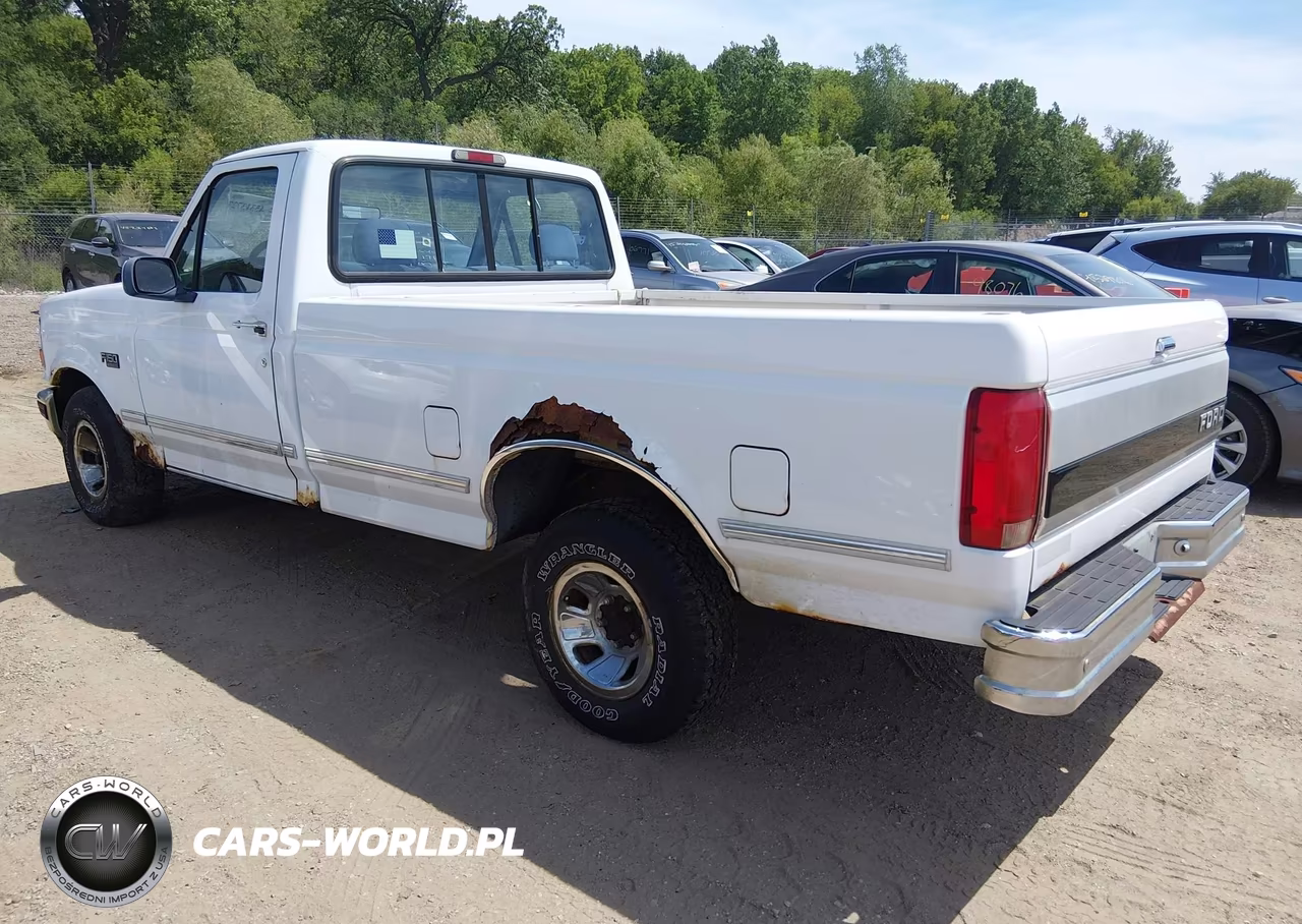 1995 Ford F150 VIN:1FTEF15N1SLB31146 - 3
