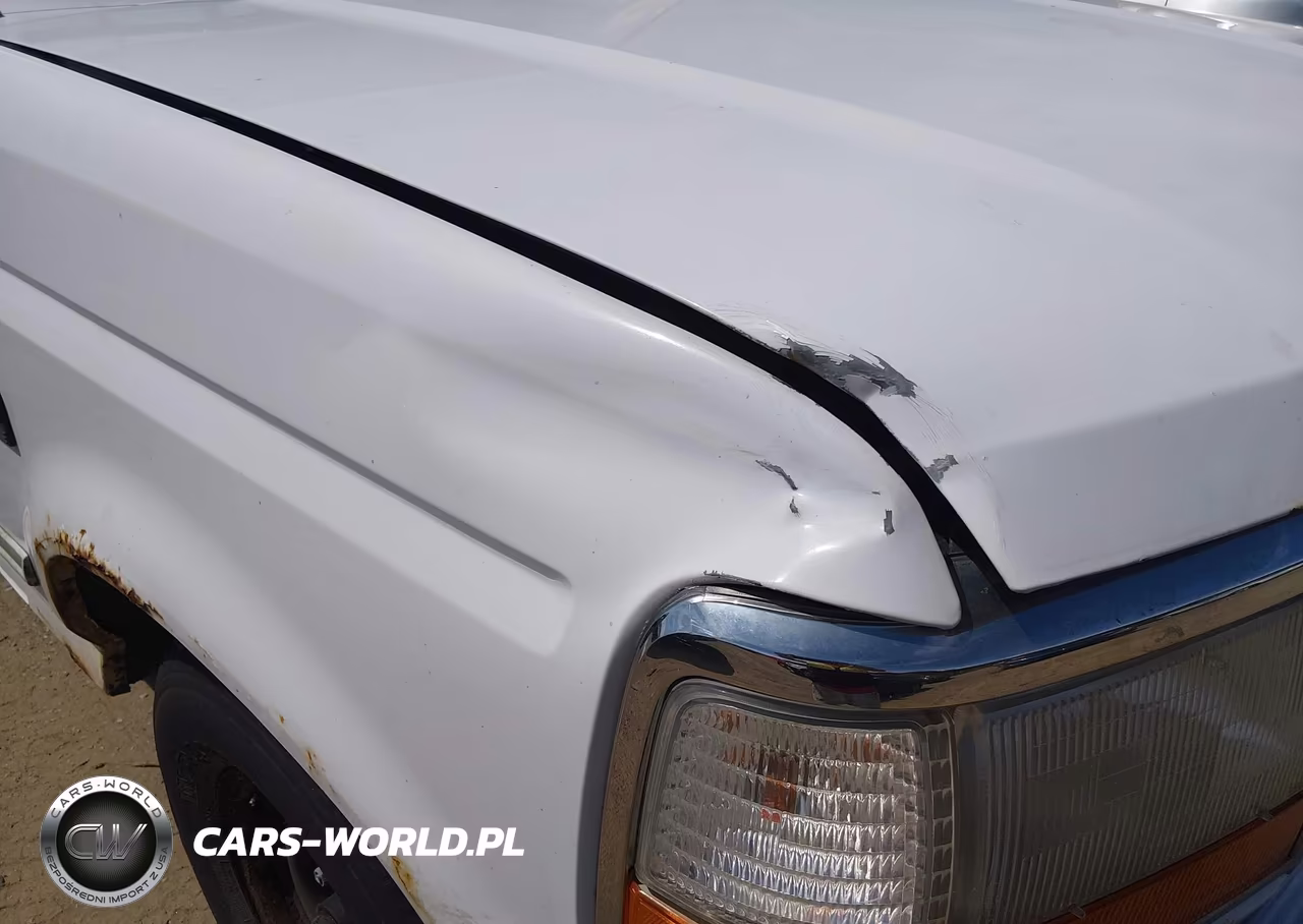 1995 Ford F150 VIN:1FTEF15N1SLB31146 - 6