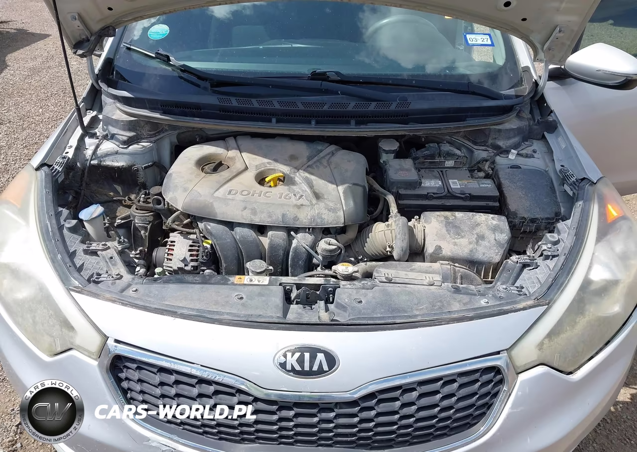 2016 Kia Forte Lx VIN:KNAFX4A67G5551407 - 10