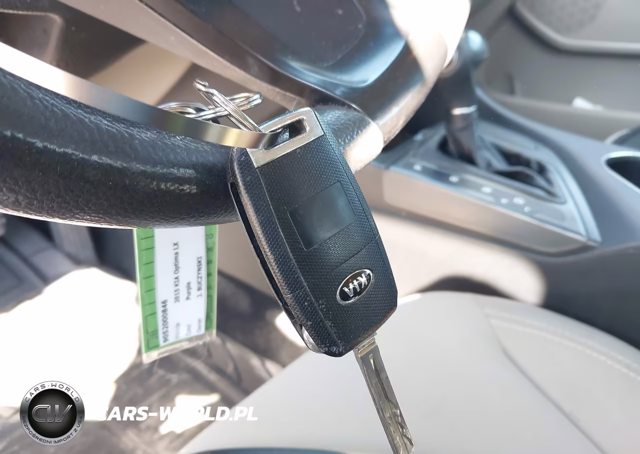 2015 Kia Optima Lx VIN:5XXGM4A79FG361384 - 11