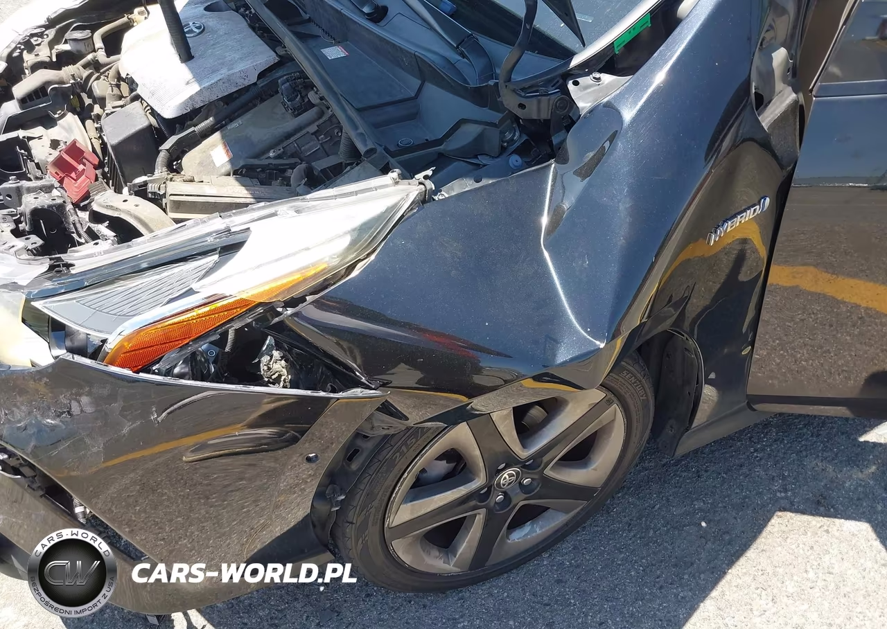 2019 Toyota Prius Xle VIN:JTDKARFU1K3086991 - 18