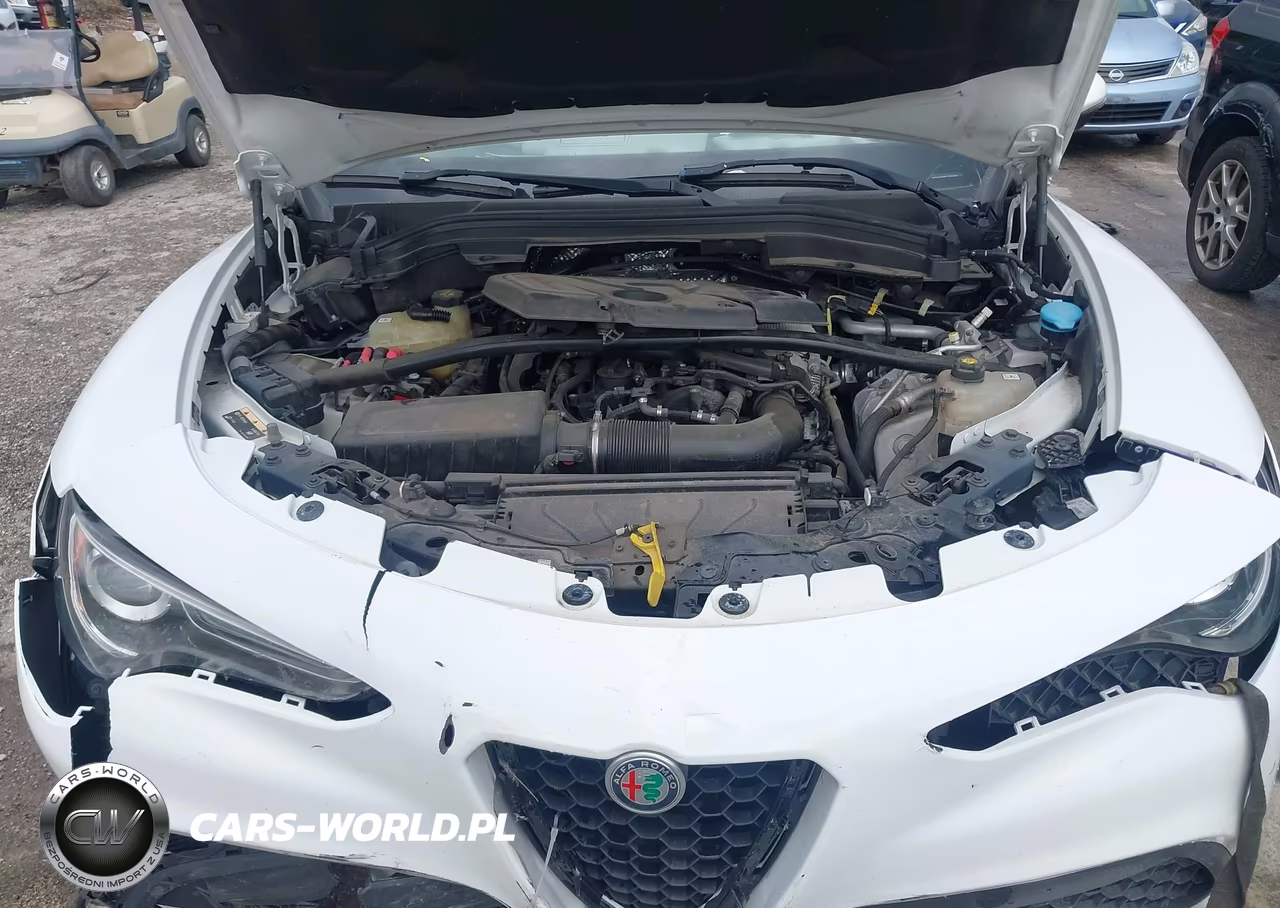 2020 ALFA ROMEO STELVIO TI AWD VIN:ZASPAKBN6L7C92398 - 10