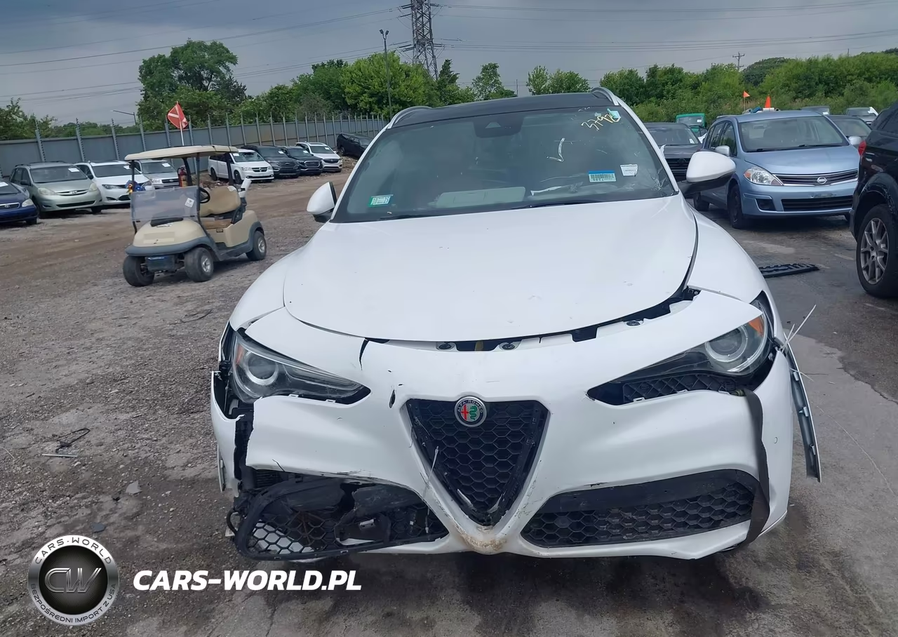 2020 ALFA ROMEO STELVIO TI AWD VIN:ZASPAKBN6L7C92398 - 13