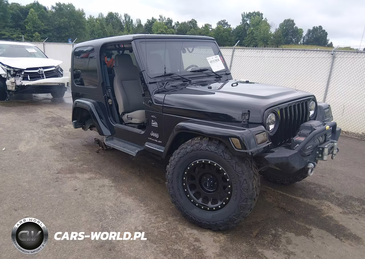 2003 Jeep Wrangler Sahara – zdjęcie 1 z 16