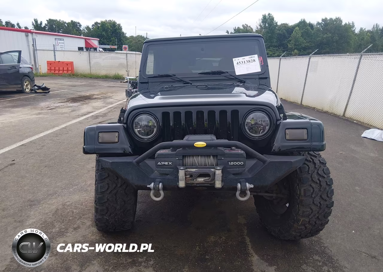 2003 Jeep Wrangler Sahara VIN:1J4FA59SX3P332963 - 12