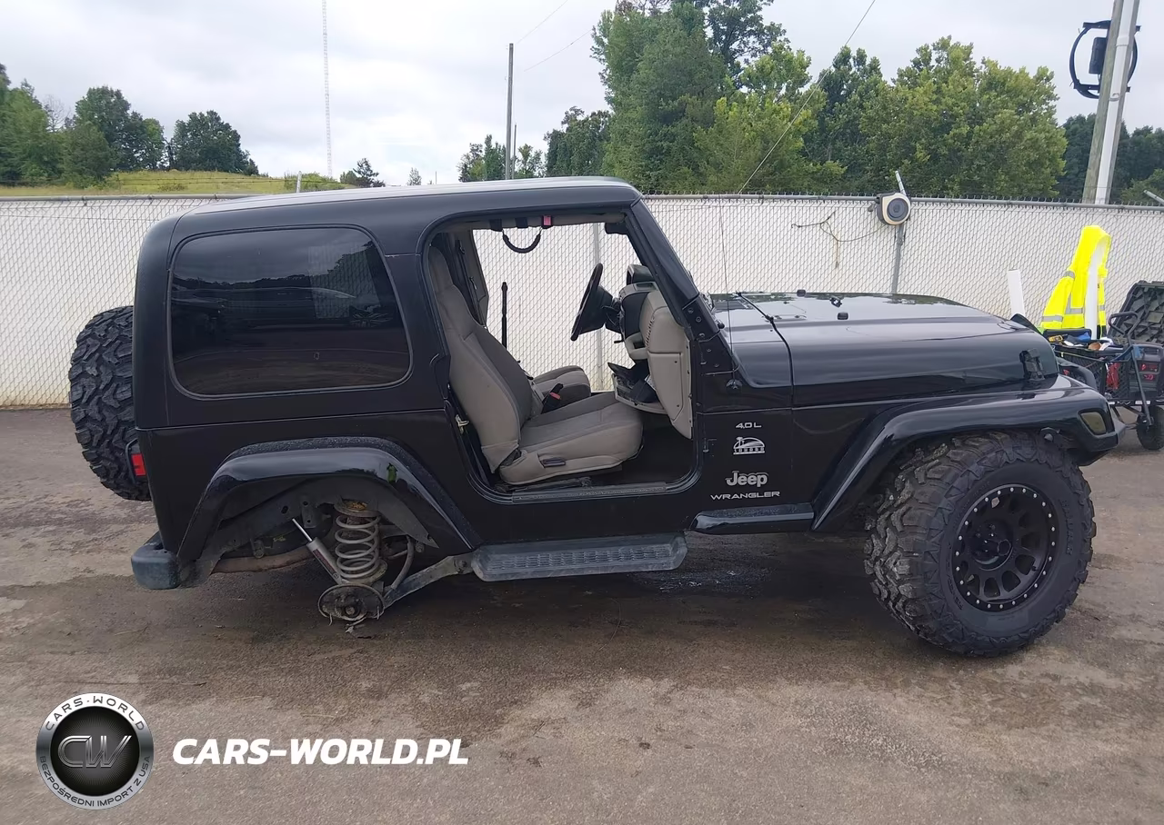 2003 Jeep Wrangler Sahara VIN:1J4FA59SX3P332963 - 13